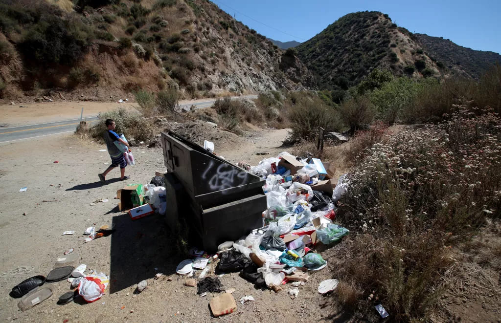 California Litter Problem: How to Deal with It One Piece at a Time