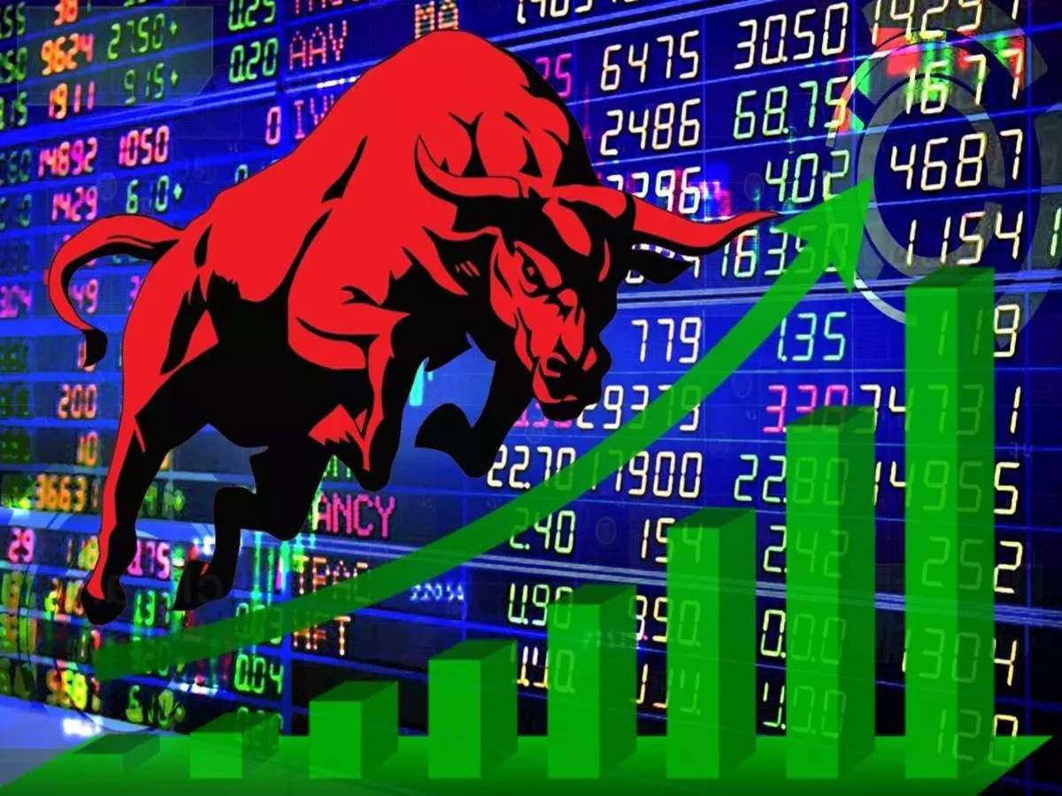 Your Comprehensive Guide to the Stock Market